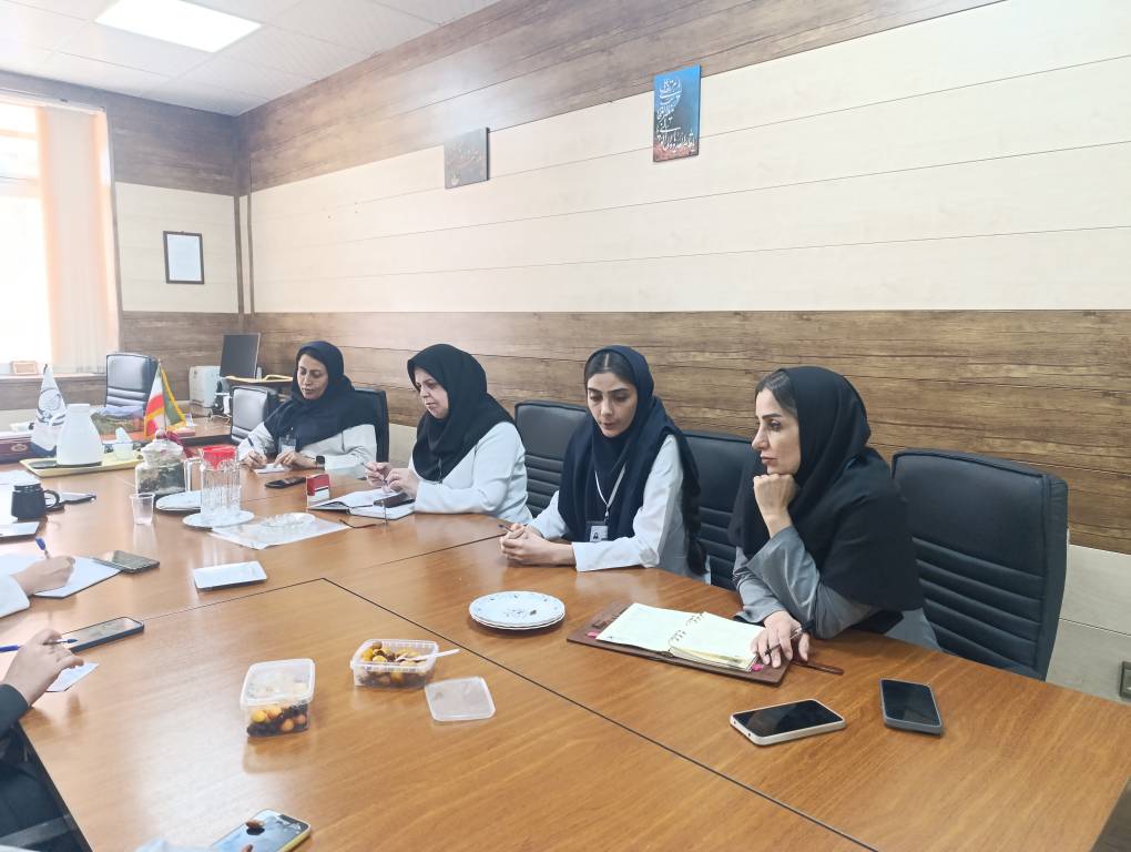 کمیته بحران