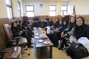 به همت کانون بسیج جامعه پزشکی بیمارستان مادر و کودک شوشتری و بیمارستان شهدای دستغیب انجام شد: برپایی اردوی جهادی