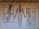 برگزاری کلاس آموزشی تفسیر گازهای خونی در بیمارستان مادرو کودک شوشتری