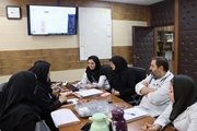 برگزاری نشست اعضا کمیته آسیب شناسی در بیمارستان مادر و کودک شوشتری